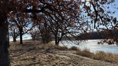 Keystone Woods WMA controversy centers around dogs, birds