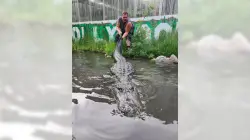 Alligator that starred in ‘Happy Gilmore’ dies of old age in Colorado
