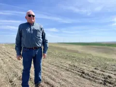 Low prices and Trump's trade war are pushing these Northwest farmers to the brink